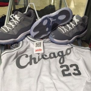 Air Jordan 11s Cool Grey Lows